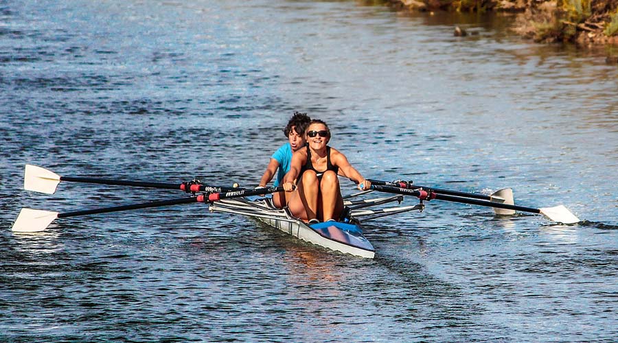 paddle_m